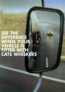 Cats-Whiskers-right